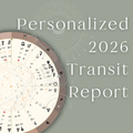 Personalized 2026 Transit Report